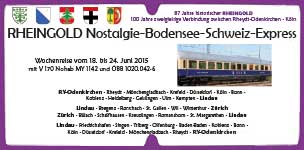Echt gelaufenes Zuglaufschild im Format 61 x 29 cm vom Nostalgie-Bodensee-Schweiz-Express